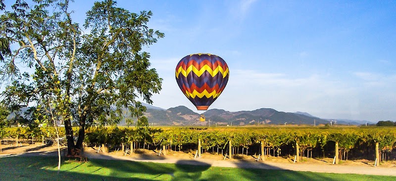 Fortunati Vineyards Private Wine Tasting Lounge Napa Valley photo 1