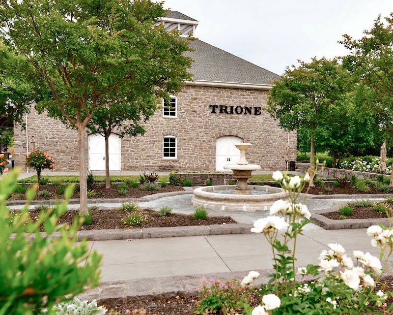 Trione Vineyards and Winery photo 1