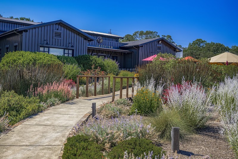 Lasseter Family Winery photo 4