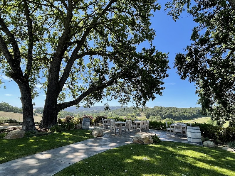 Denner Vineyards photo 4