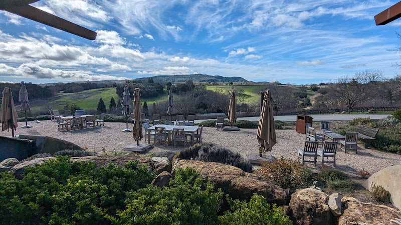 Denner Vineyards photo 5