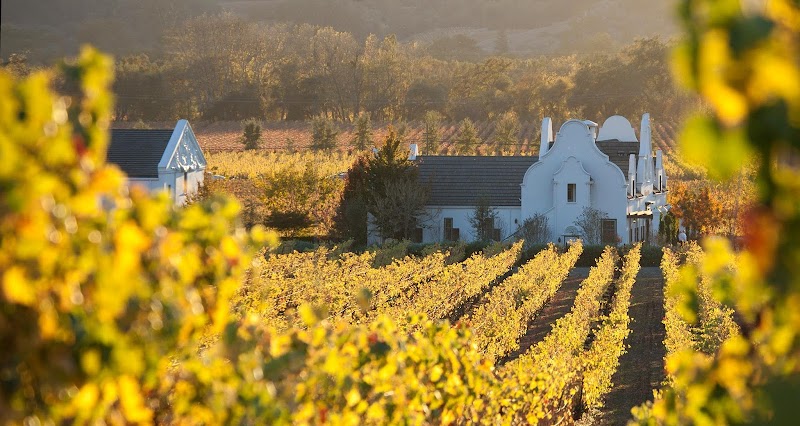 Chimney Rock Winery photo 1