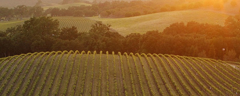 Asuncion Ridge Vineyards Tasting Room photo 1