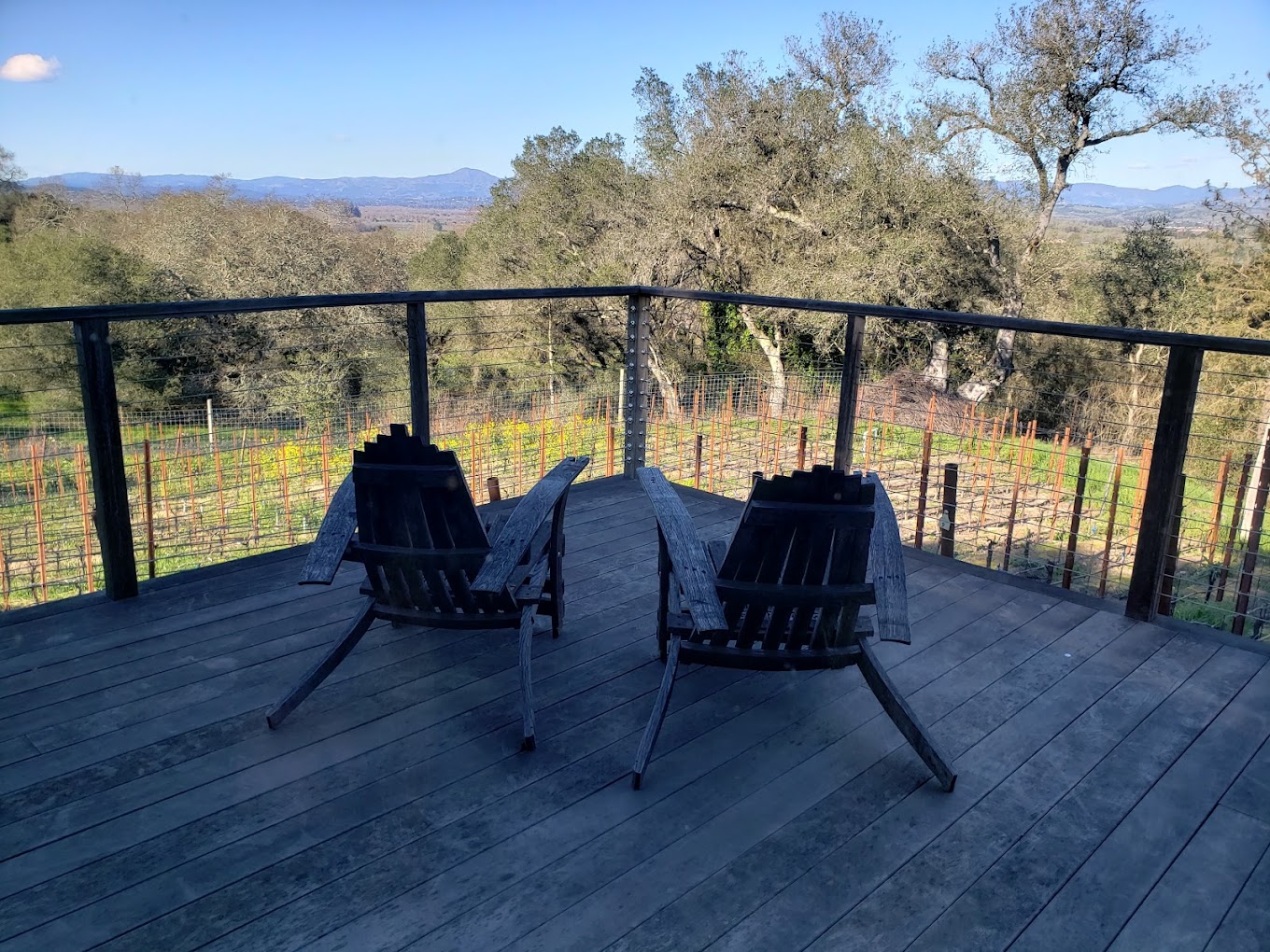Wren Hop Vineyards  photo 4