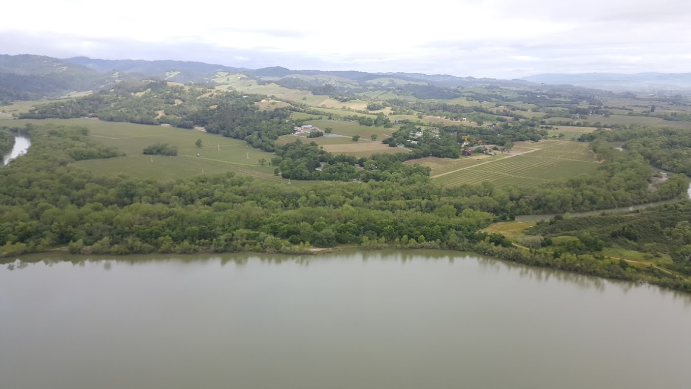Wren Hop Vineyards  photo 5