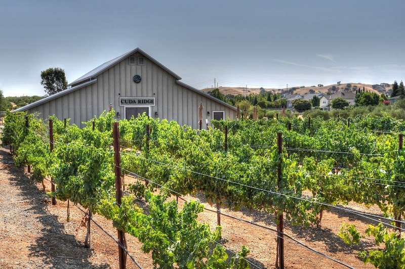 Cuda Ridge Wines photo 1