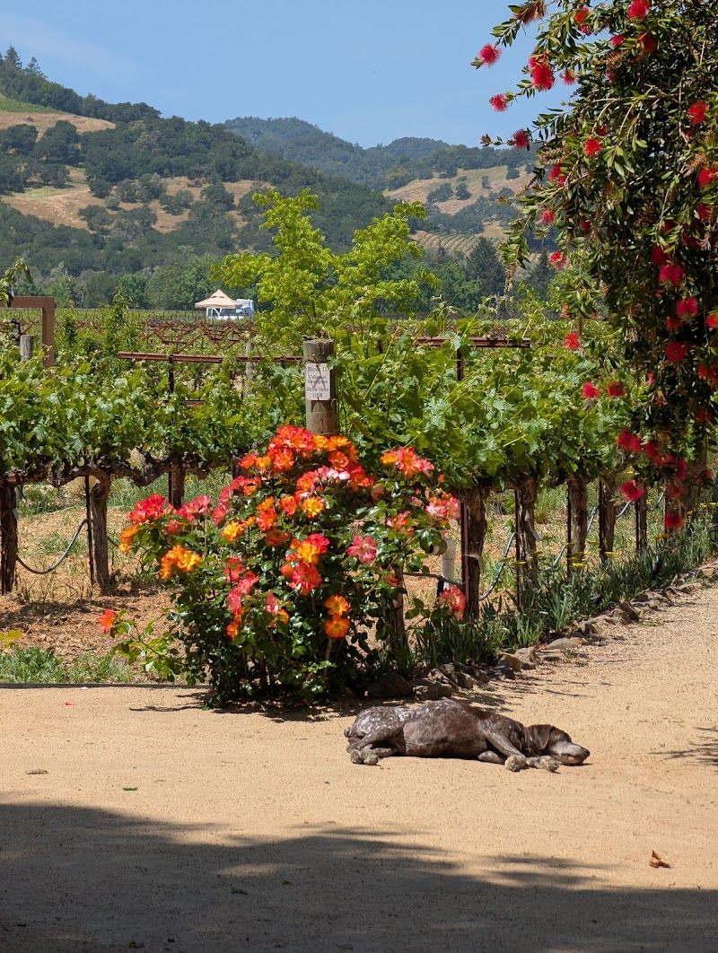 O'Brien Estate Winery photo 5