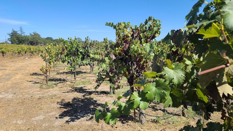 Battaglini Estate Winery photo 1