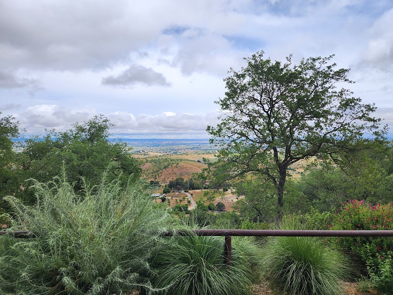 Le Cuvier Winery and Tasting Room photo 4