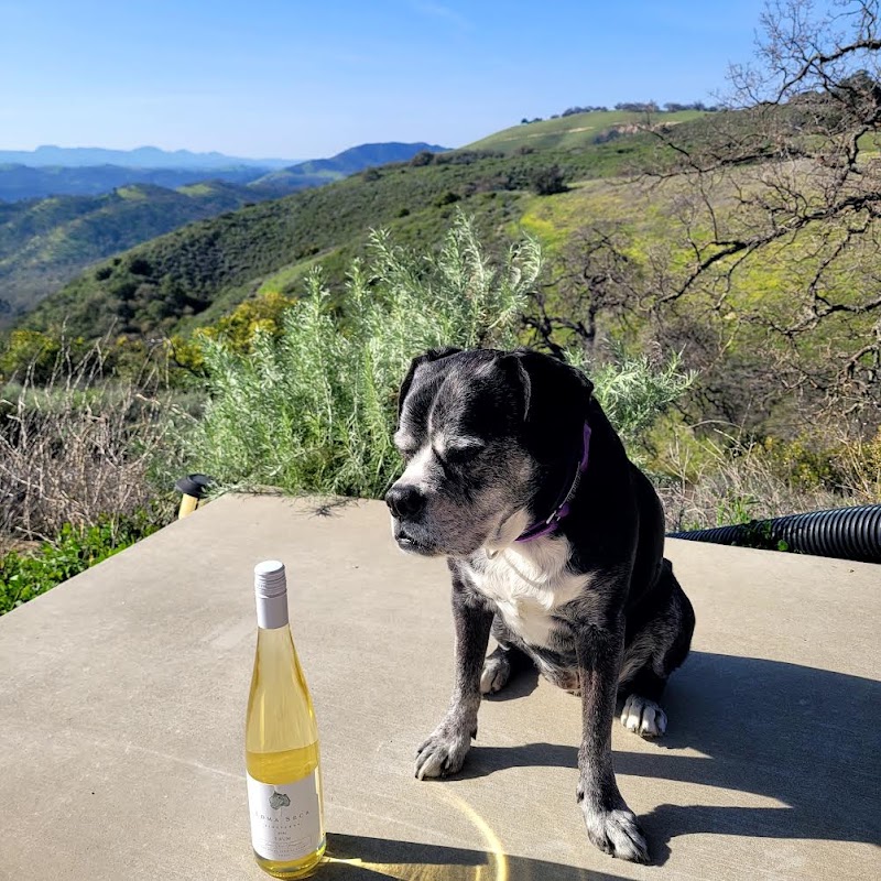 Loma Seca Vineyards photo 5