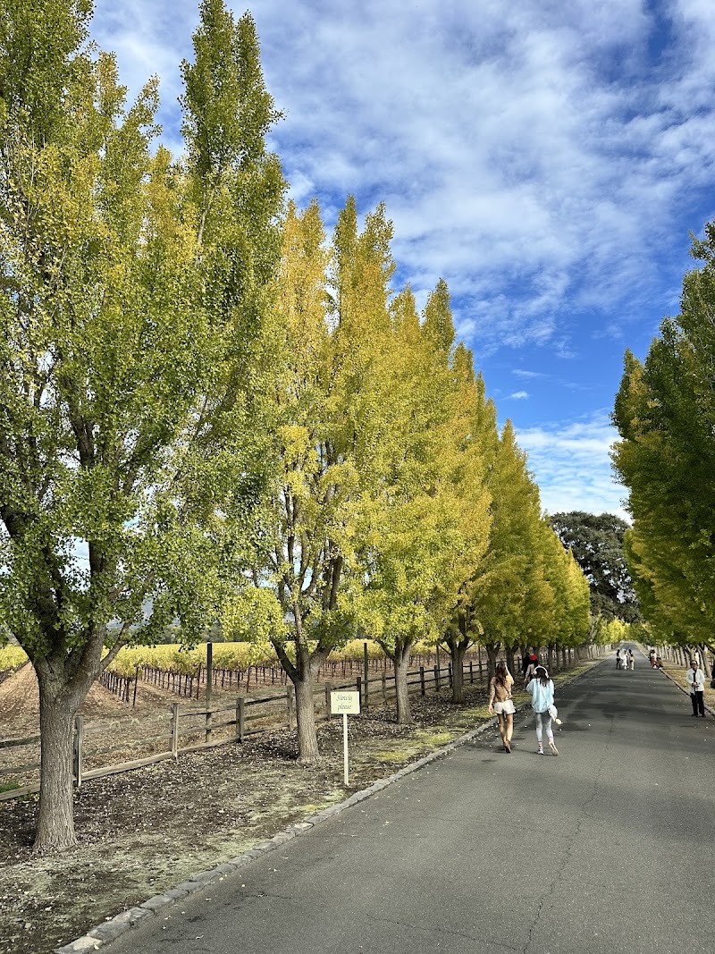 Far Niente Winery photo 5