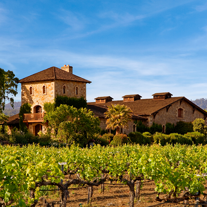 V. Sattui Winery photo 1