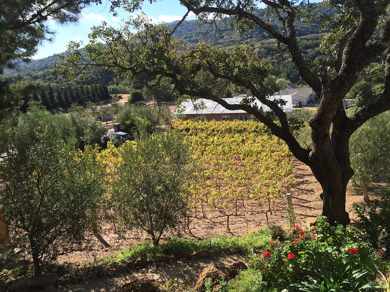 Rock Creek Vineyard photo 4