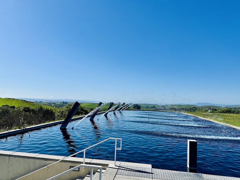 Artesa Vineyards & Winery photo 4