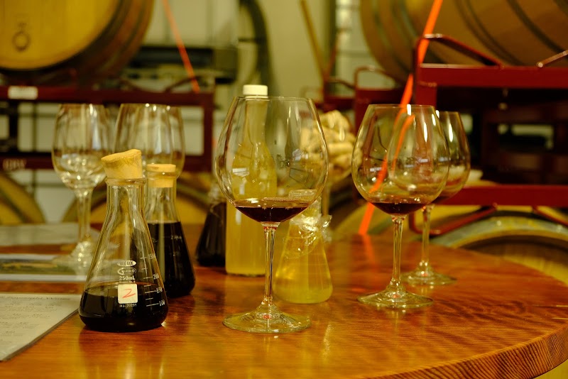 Foursight Wines photo 4