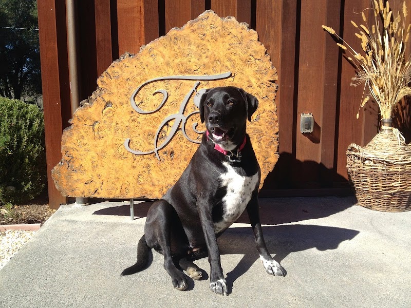 Foursight Wines photo 5