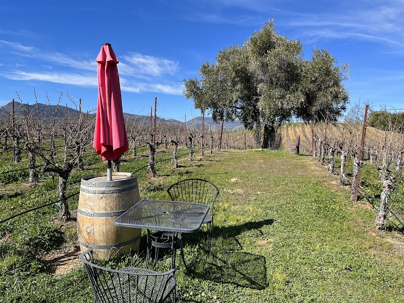 Pope Valley Winery photo 5