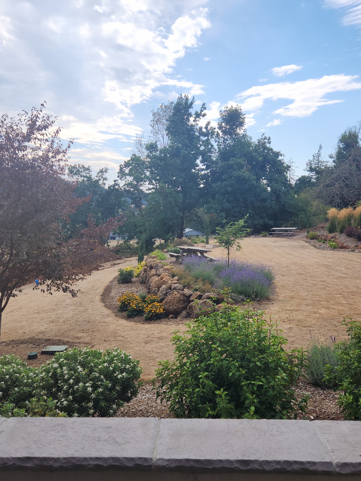 Paradis Vineyards photo 6