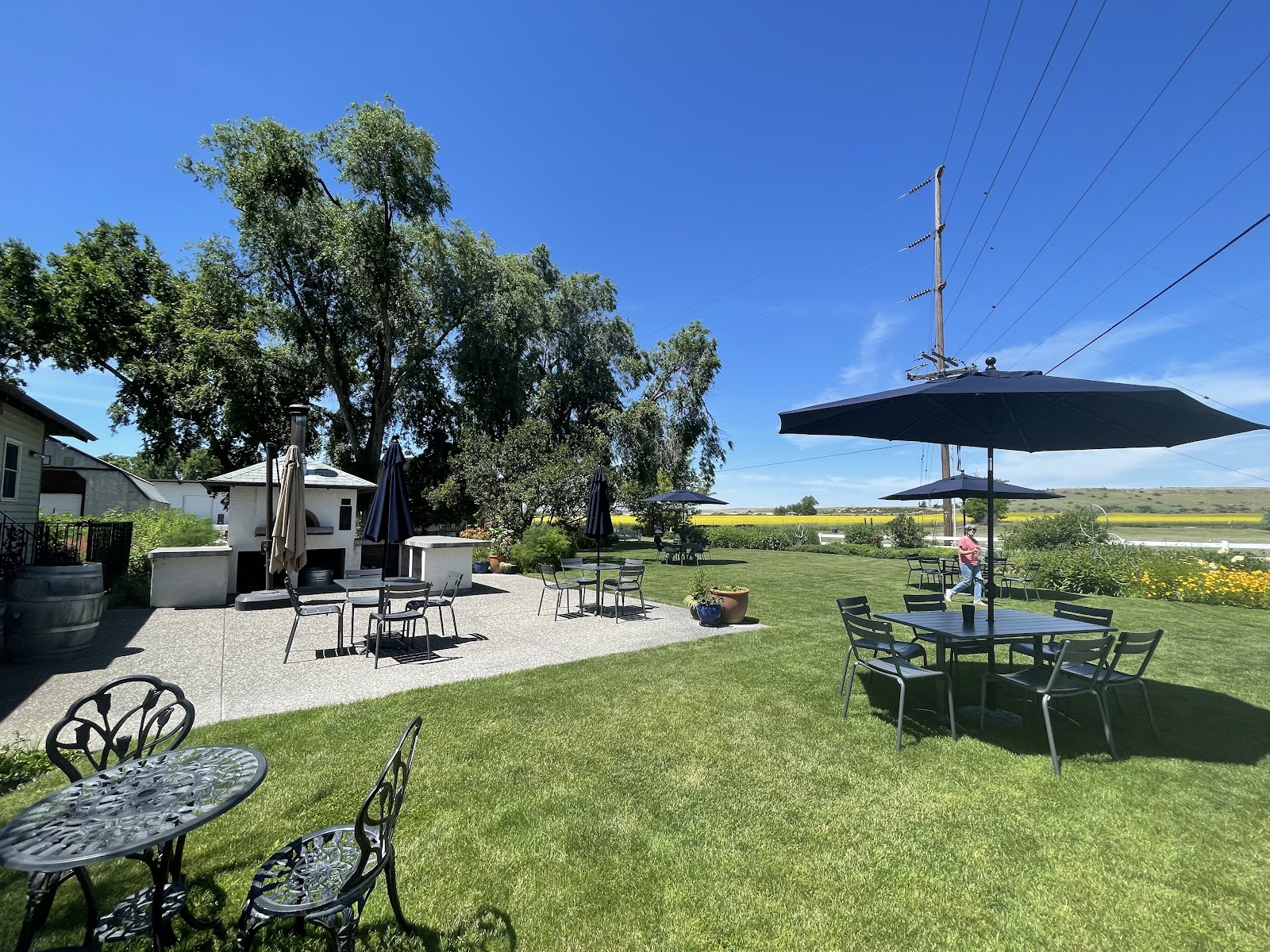 Woodward Canyon Winery photo 5
