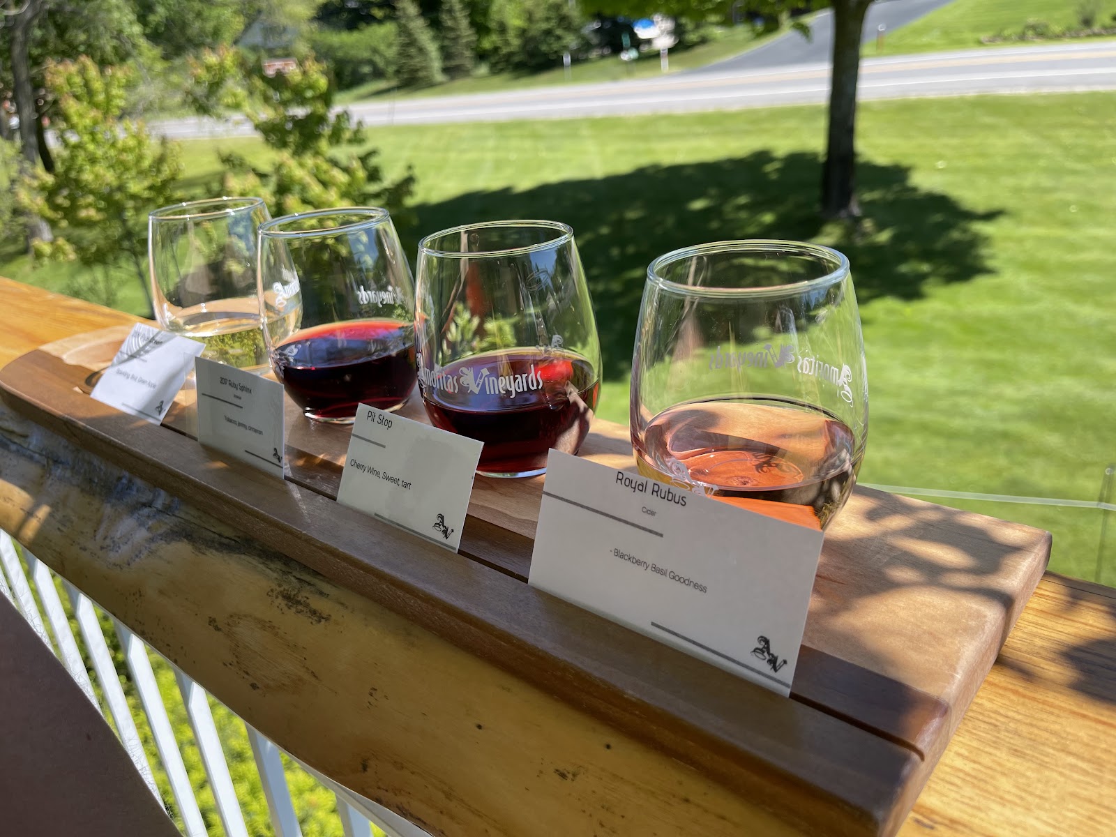 Amoritas Vineyards photo 5