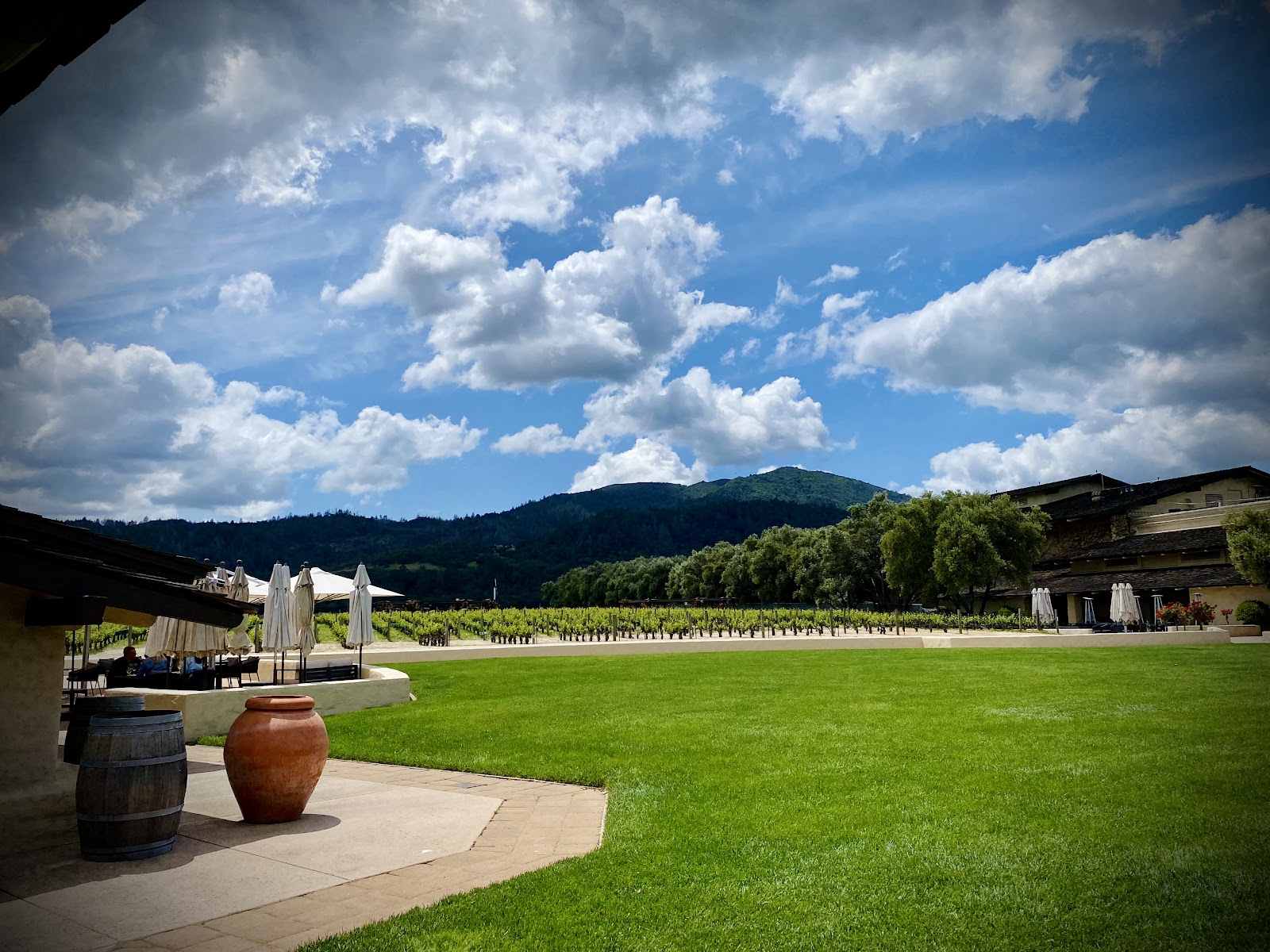 Robert Mondavi Winery photo 5
