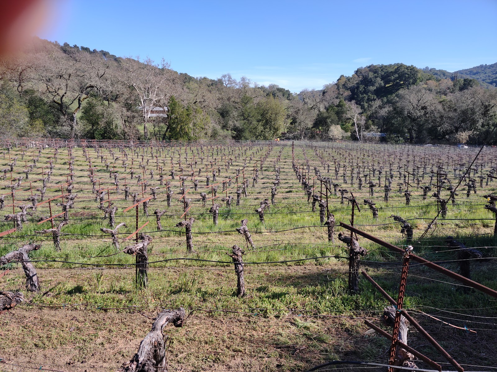 Martin Ranch Winery photo 5