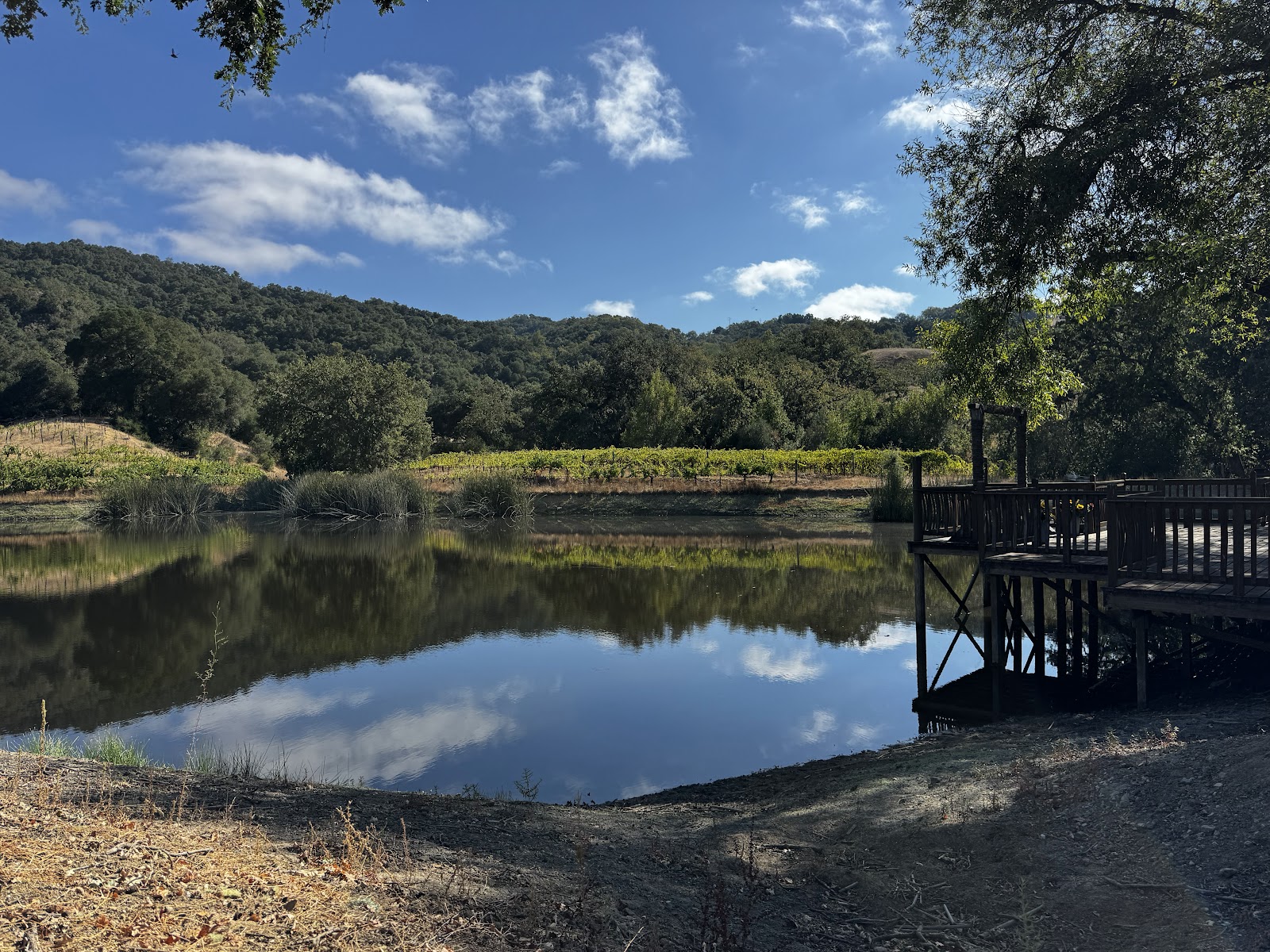 Martin Ranch Winery photo 6