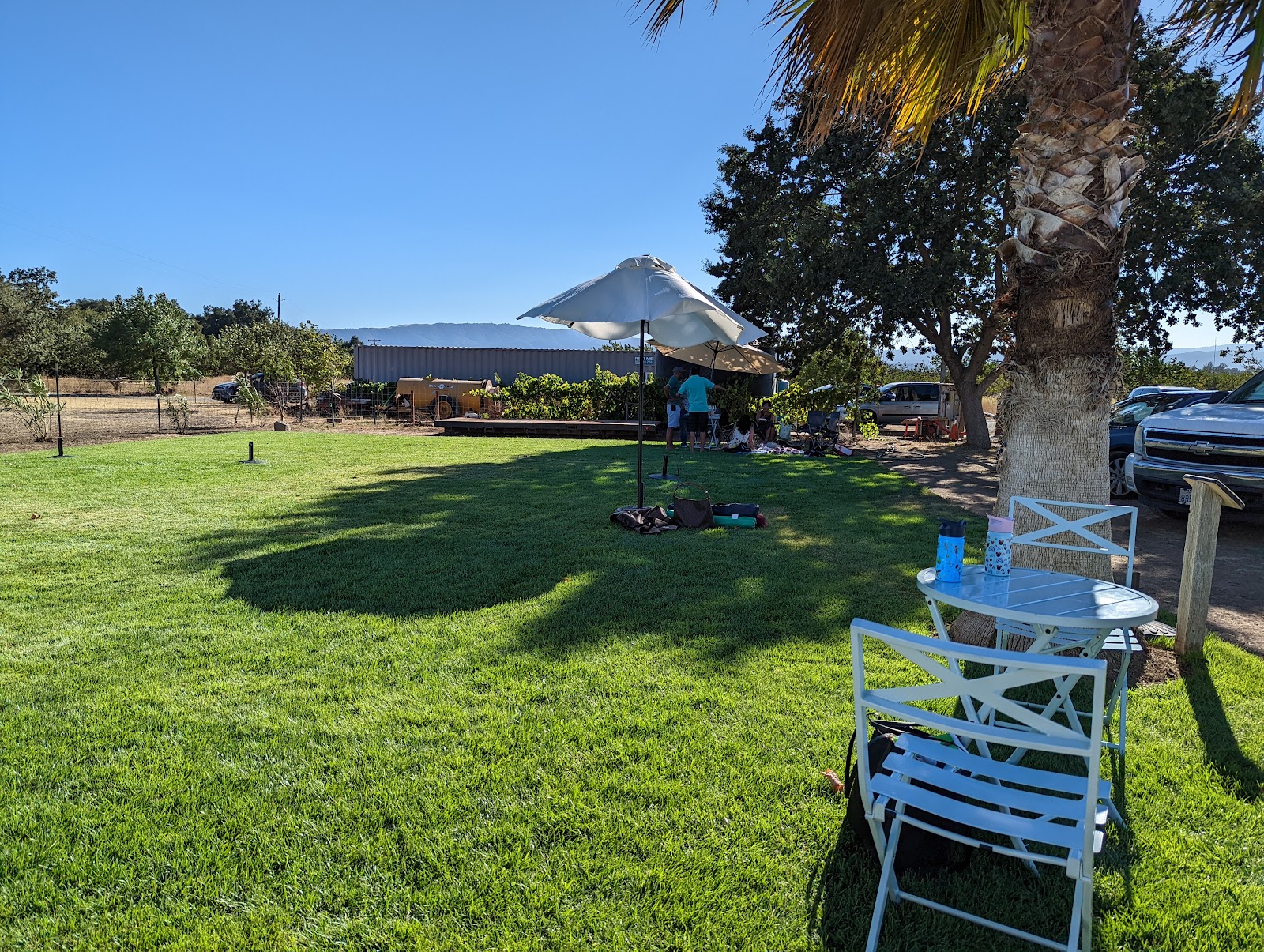 Cinnabar Winery photo 5