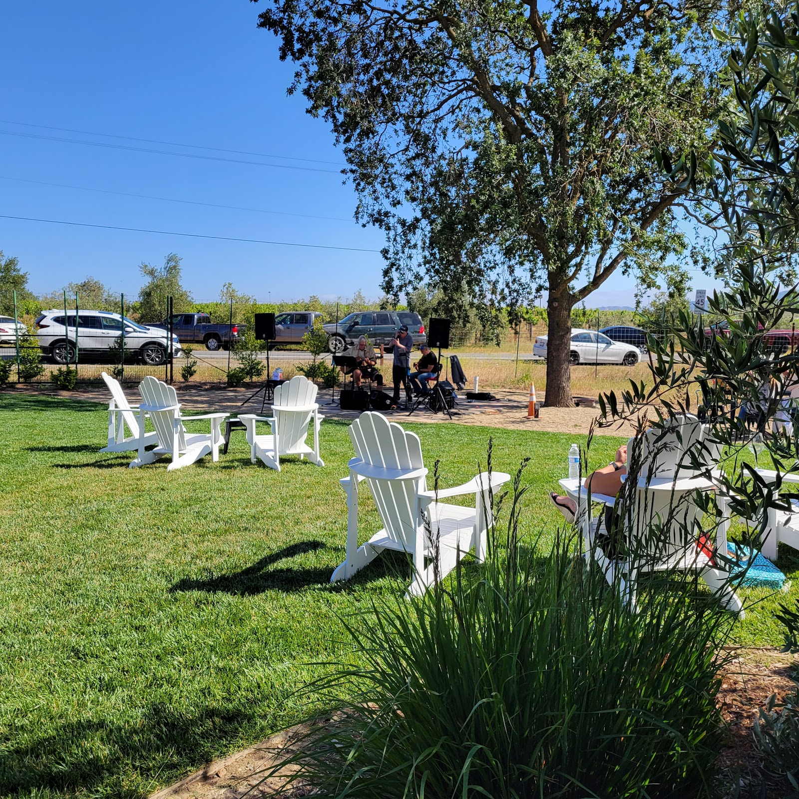 Verde Vineyards photo 4