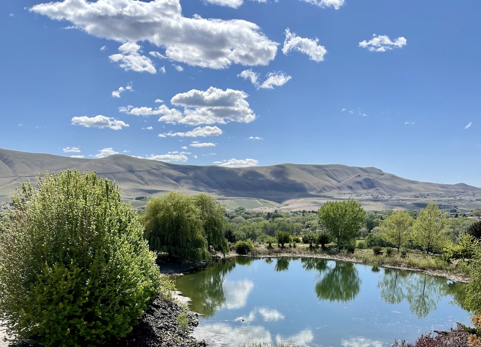 Terra Blanca Winery photo 5