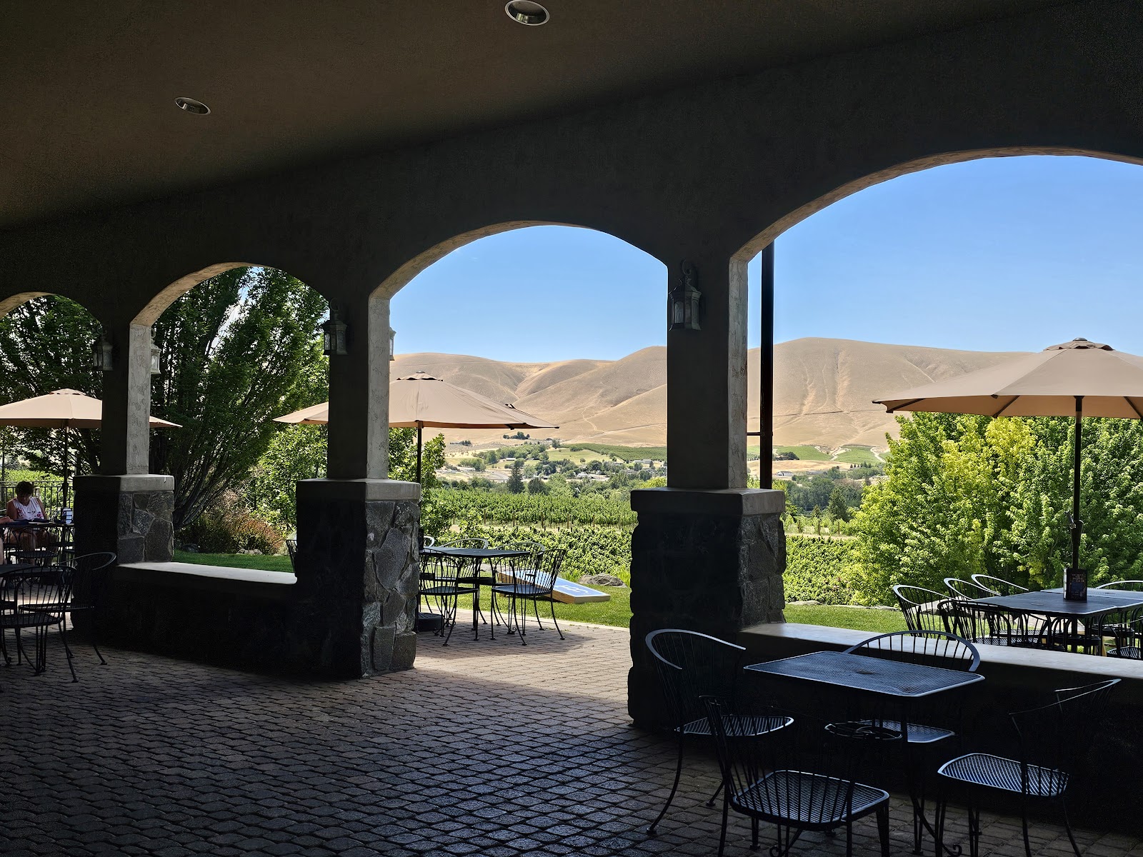 Terra Blanca Winery photo 6