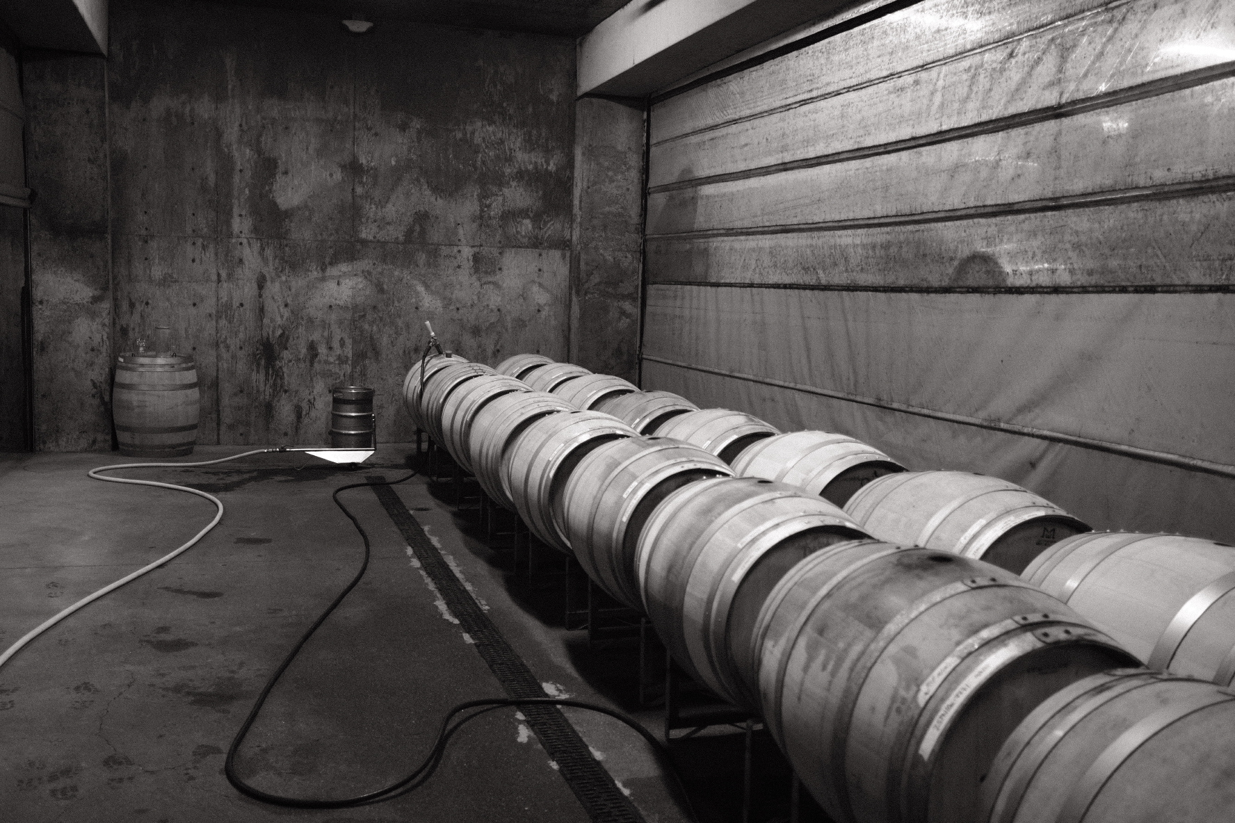 Peay Vineyards photo 4