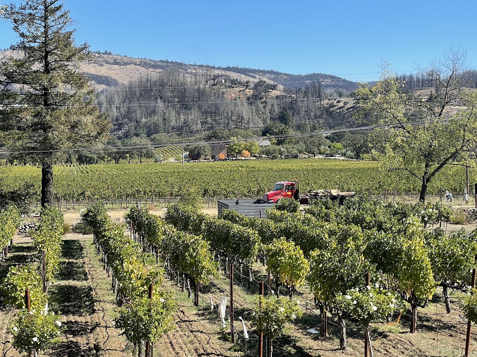 AXR Napa Valley photo 5