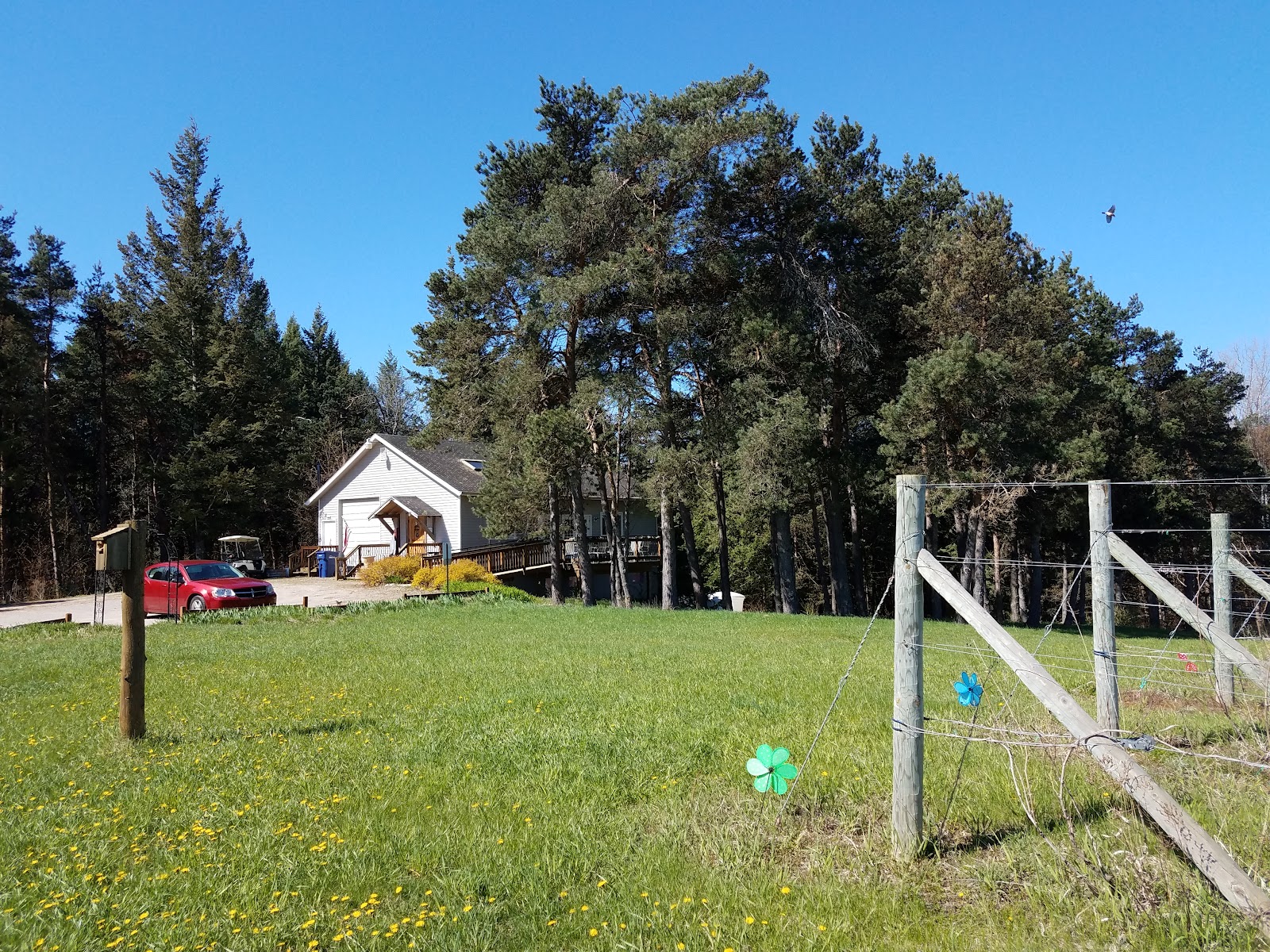 Silver Leaf Vineyard & Winery photo 5
