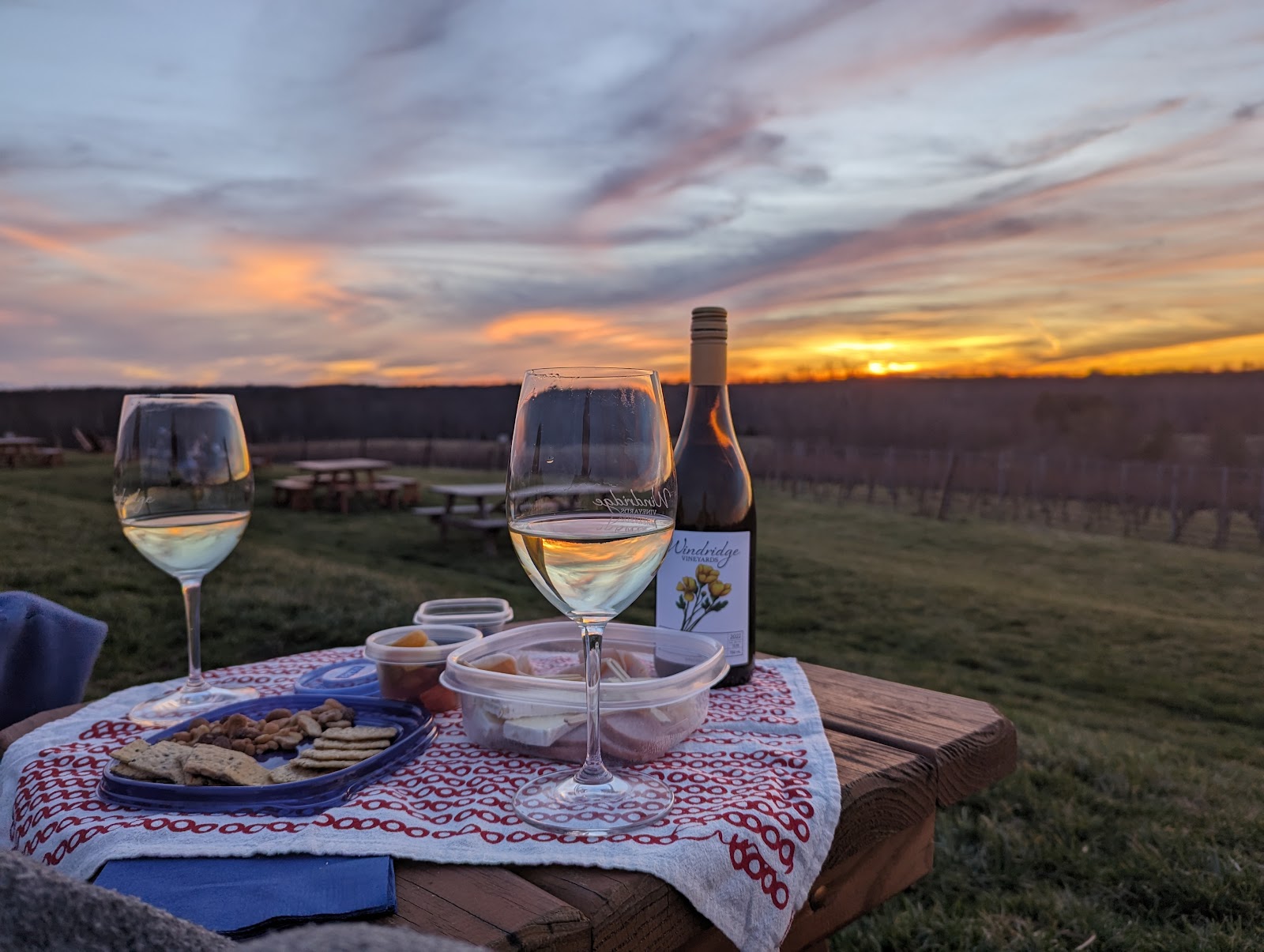 Windridge Vineyards photo 4