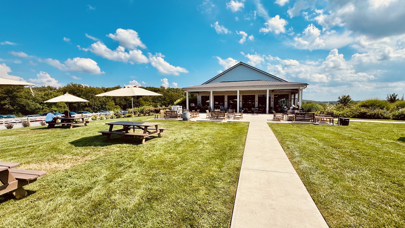 Windridge Vineyards photo 5