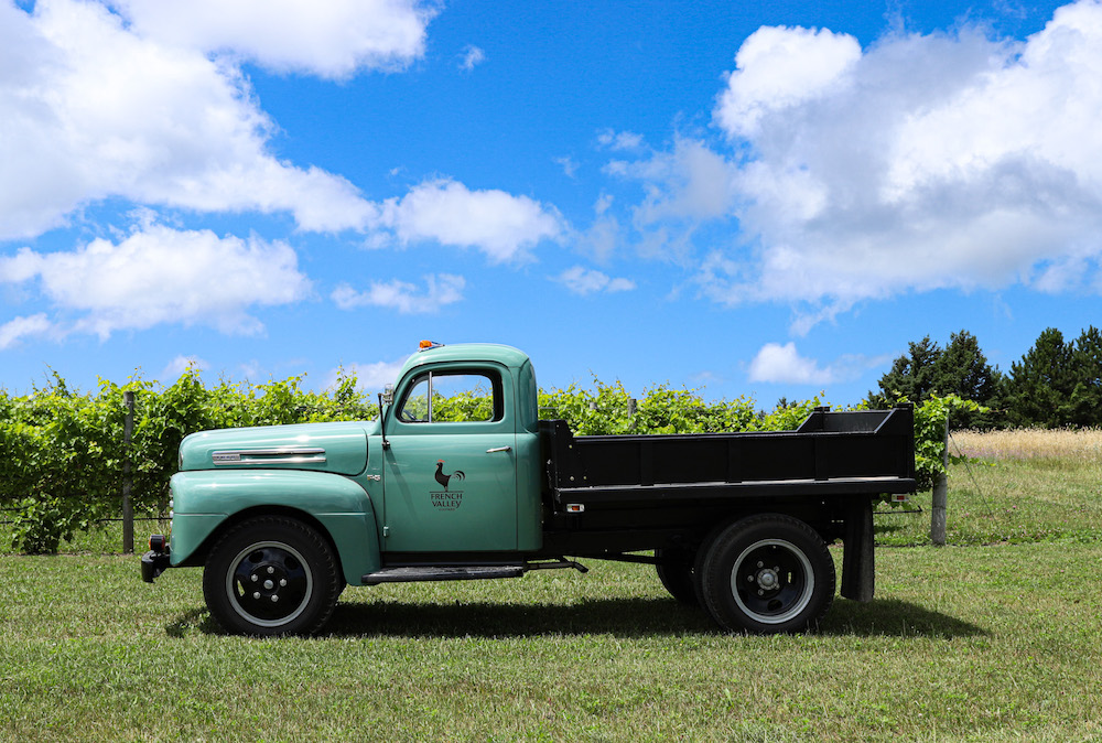 French Valley Vineyard photo 4
