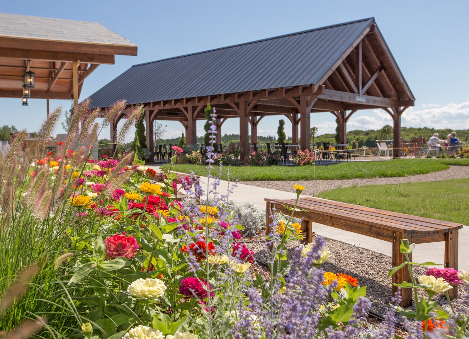 French Valley Vineyard photo 6