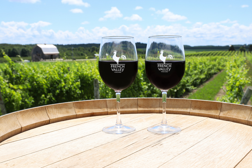 French Valley Vineyard photo 1