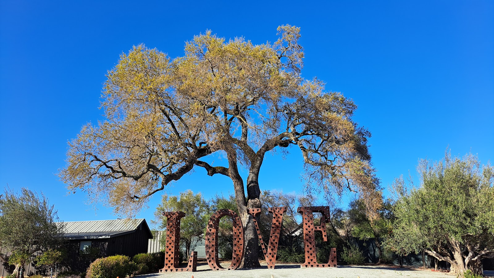 MOHI Ranch photo 4