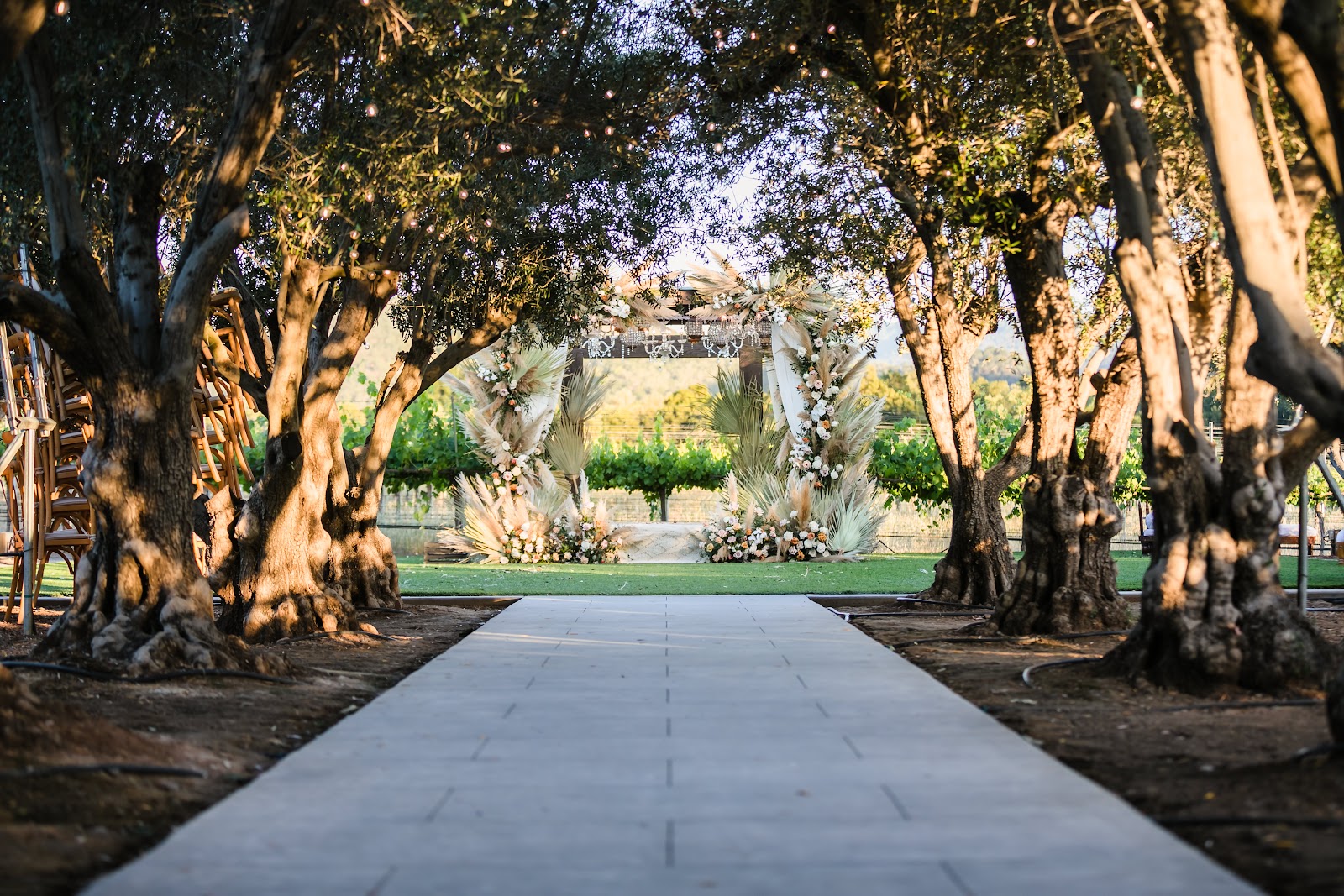 MOHI Ranch photo 5