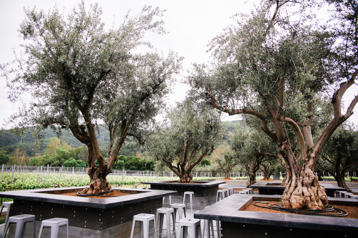 MOHI Ranch photo 6