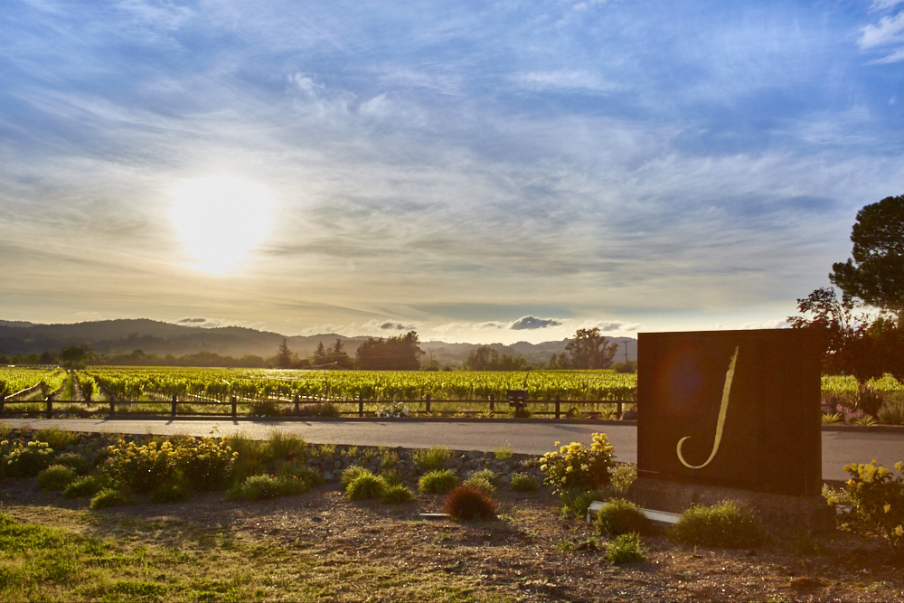 J Winery photo 6