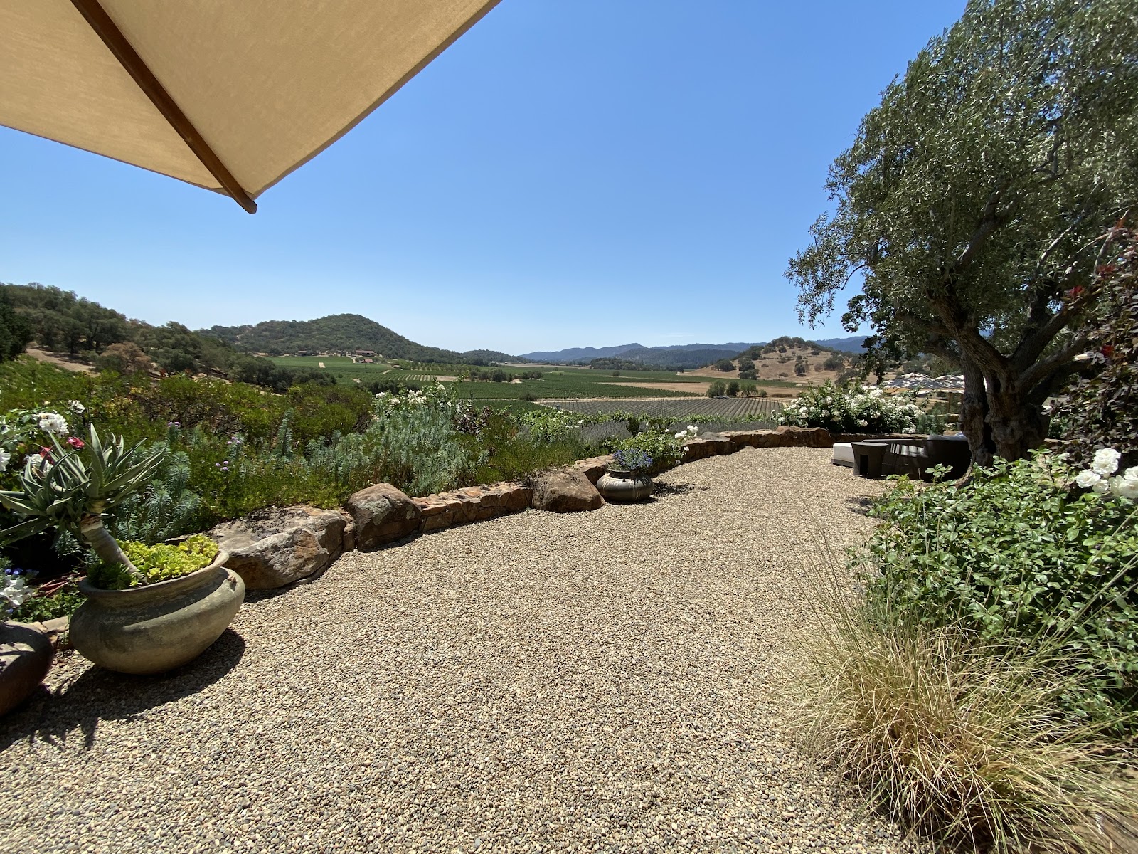Gargiulo Vineyards photo 6