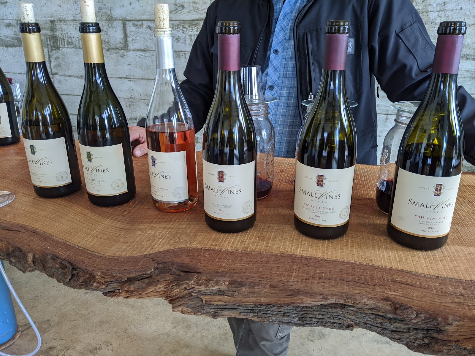 Small Wine Vine photo 5