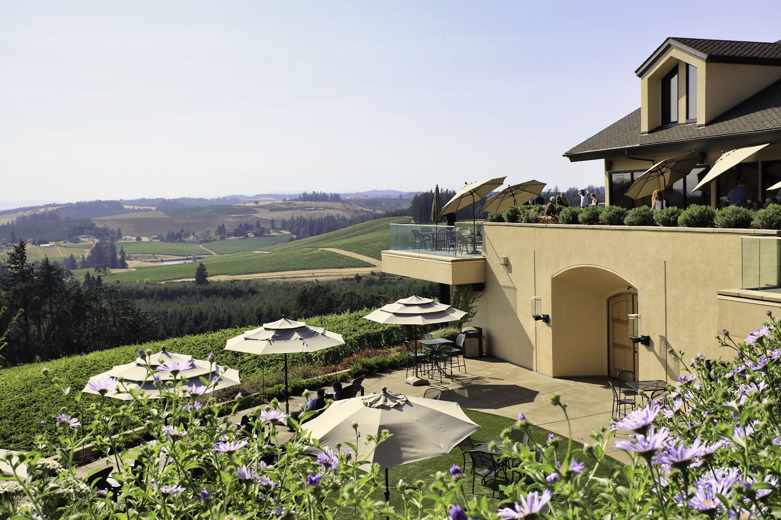 Willamette Valley Vineyards photo 4