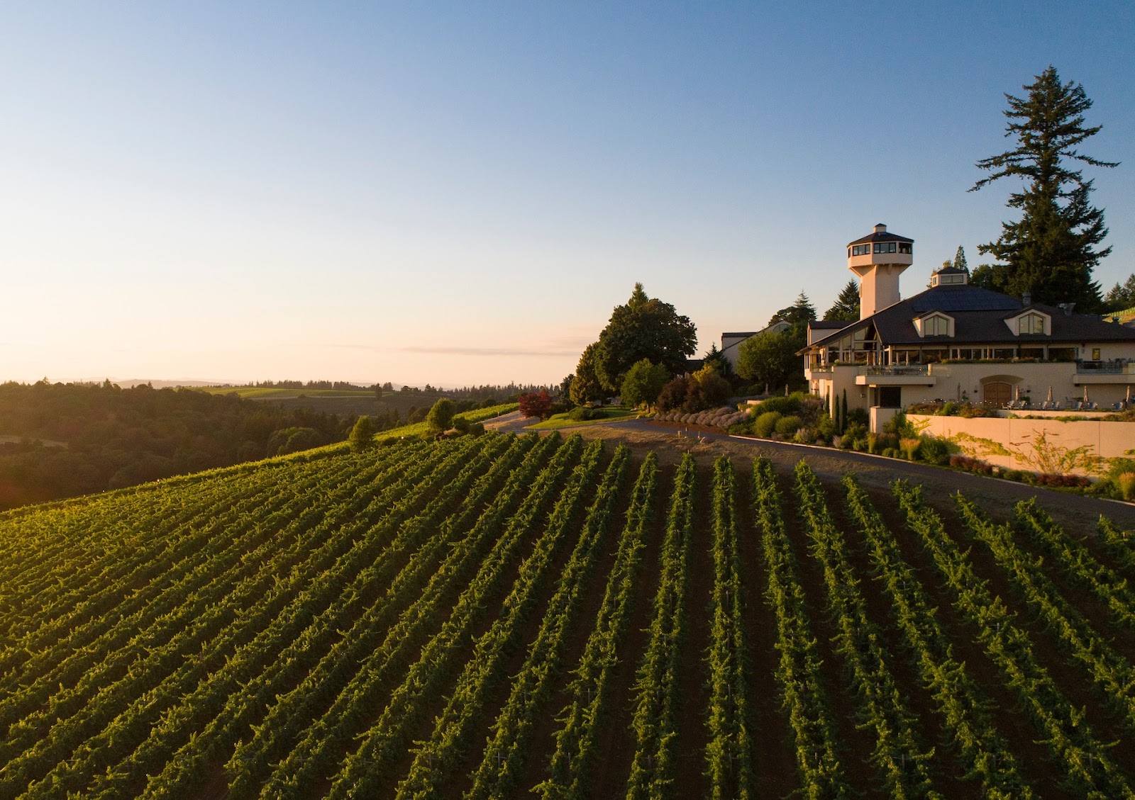 Willamette Valley Vineyards photo 1