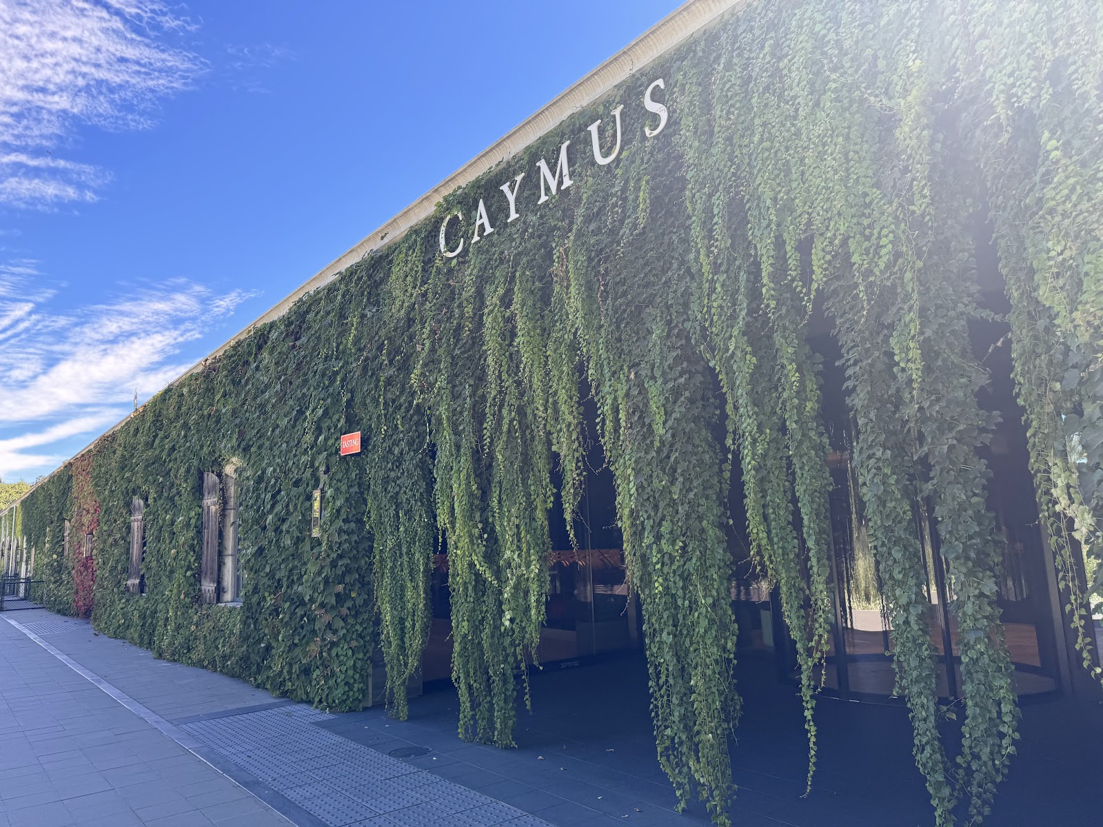 Caymus Vineyards photo 4