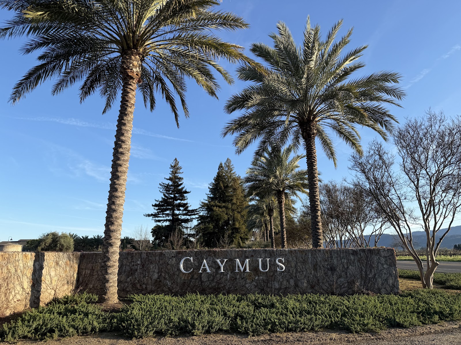 Caymus Vineyards photo 5