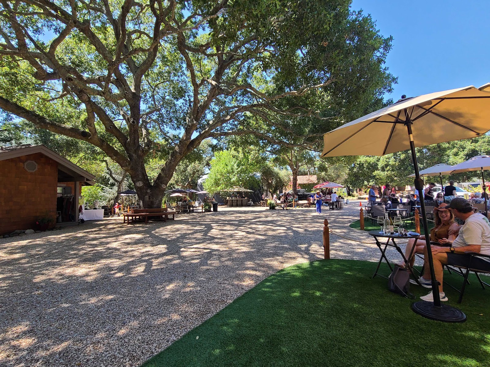 Cottage Creek Vineyards photo 4